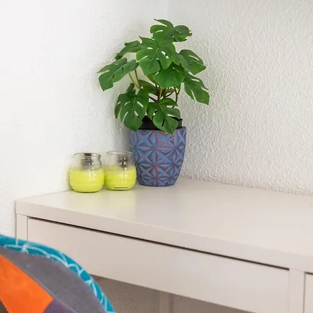 Ocean Garden 公寓 卡亚俄萨尔瓦赫